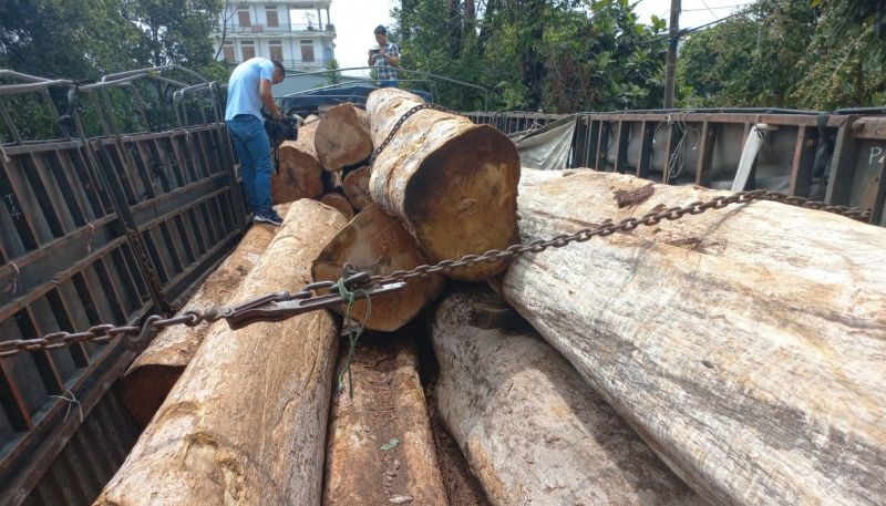 Bắt vụ vận chuyển gỗ lậu lớn tại vùng biên giới Gia Lai
